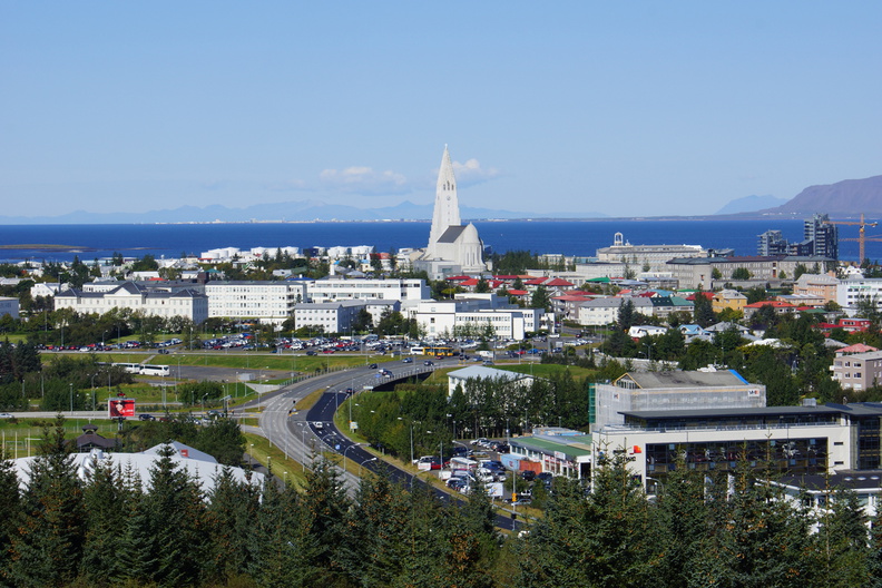 DSC01245.jpg
