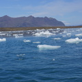 DSC01099