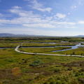 DSC00895