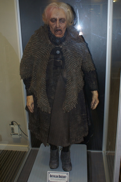 DSC01676.jpg