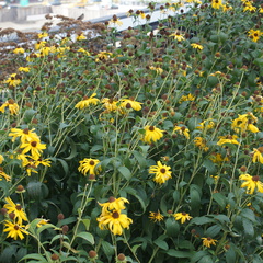 DSC02218