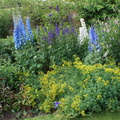 DSC02978