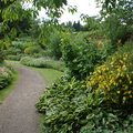 DSC02979