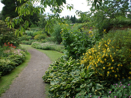 DSC02979
