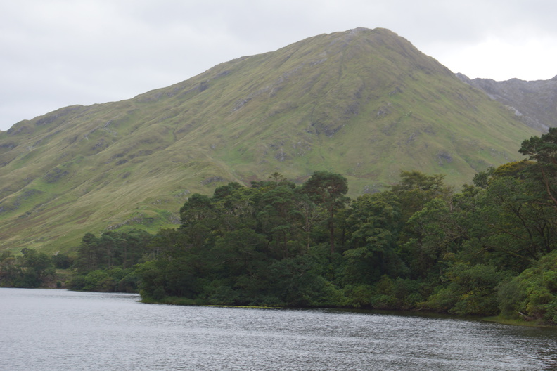 DSC03547.jpg