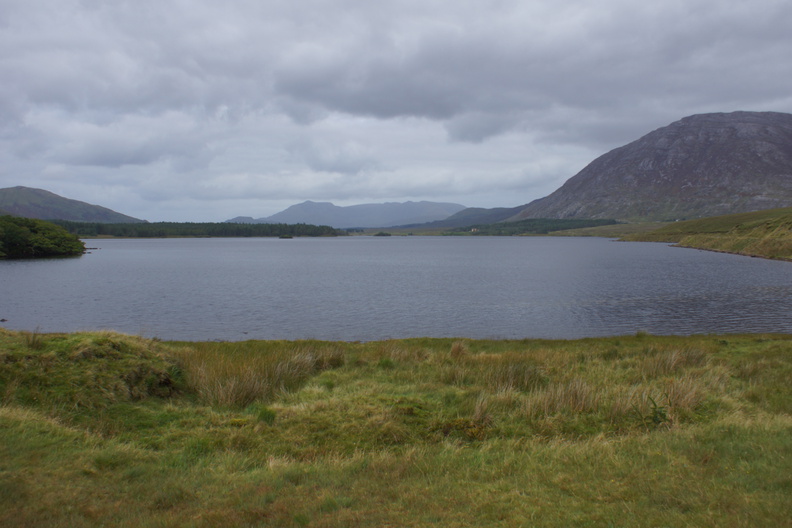 DSC03558.jpg