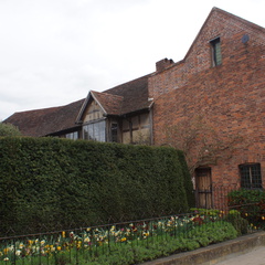DSC03849