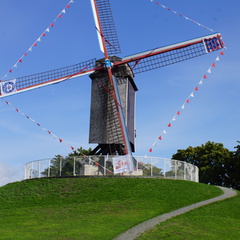 DSC04955