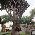 DSC05665