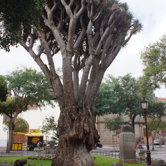 DSC05665