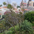 DSC05695