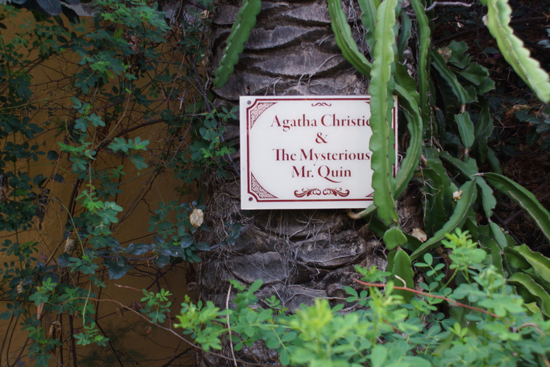 DSC05715.jpg