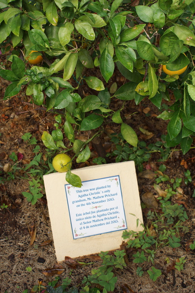 DSC05720.jpg