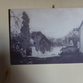 DSC05831