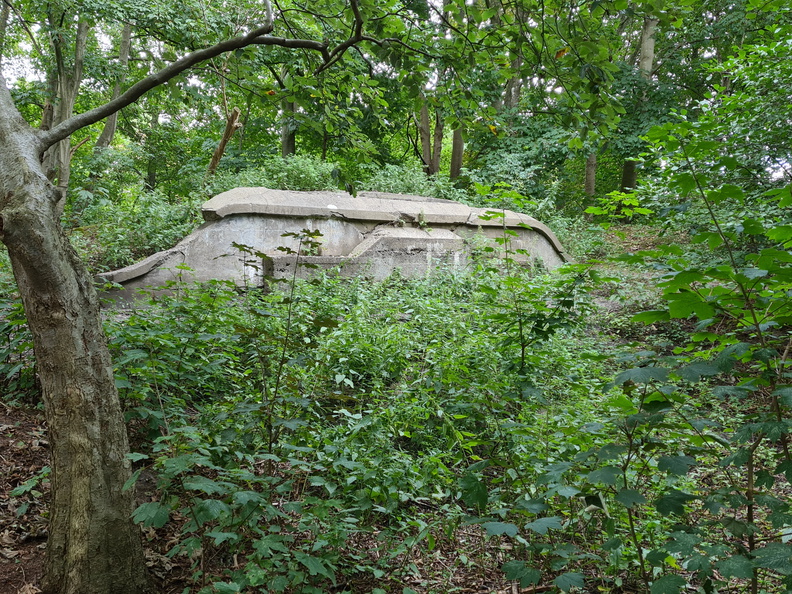 20200906_170704.jpg