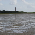 DSC00434