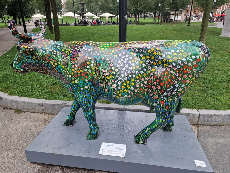 20230815_182235.jpg