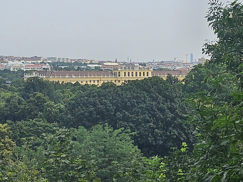 20240621_114723.jpg