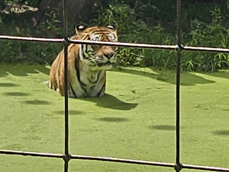 20240621_134936.jpg