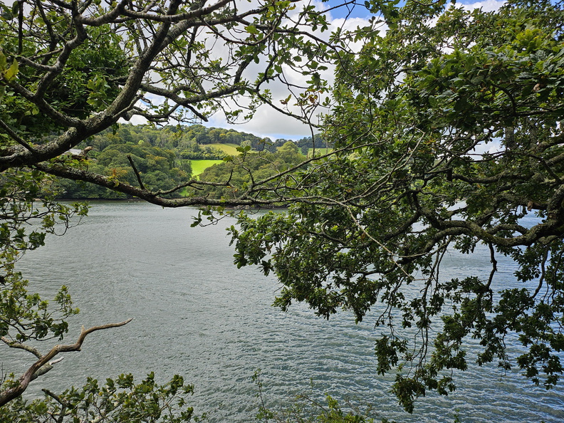 20240911_124050.jpg
