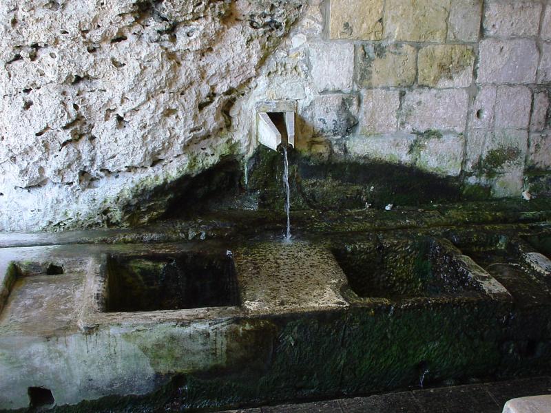 DSC00067