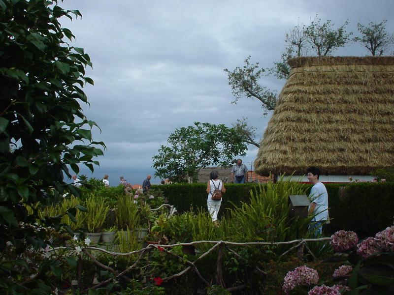 DSC00052
