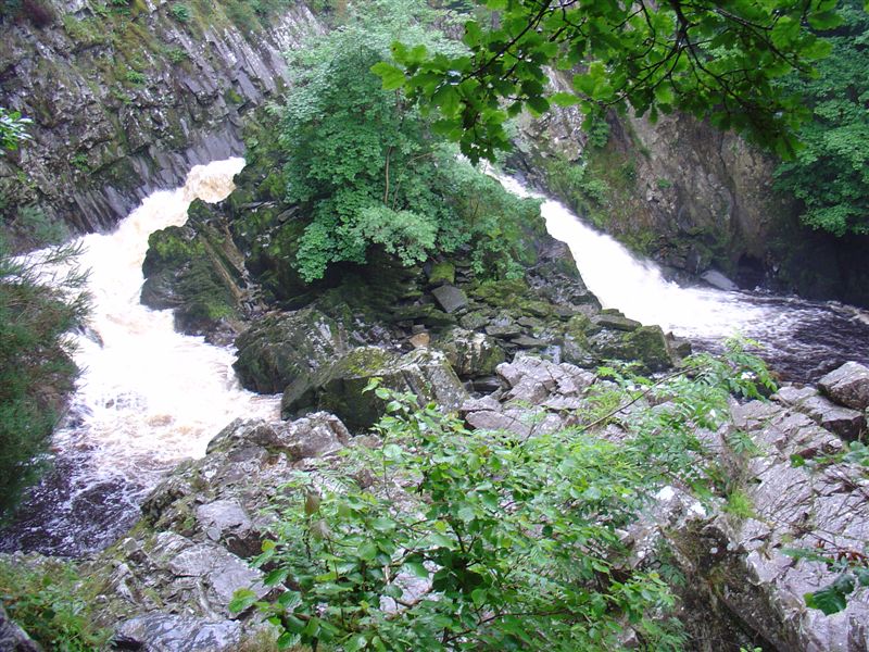 DSC02764