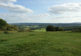 Newlands Corner - display this album Newlands Corner